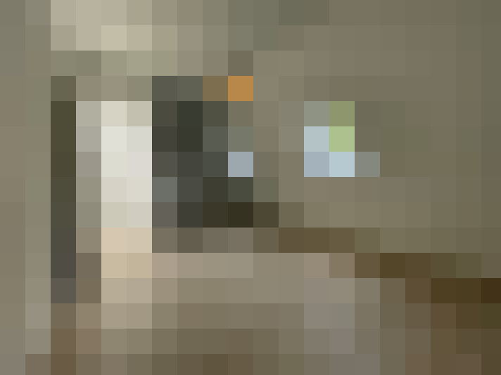  / #15