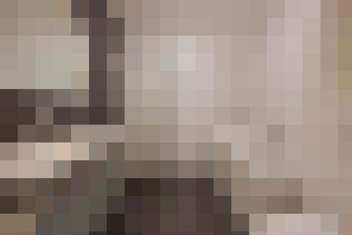  / #24