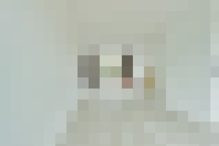  / #6