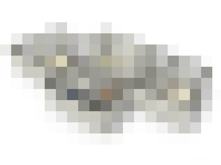  / #18