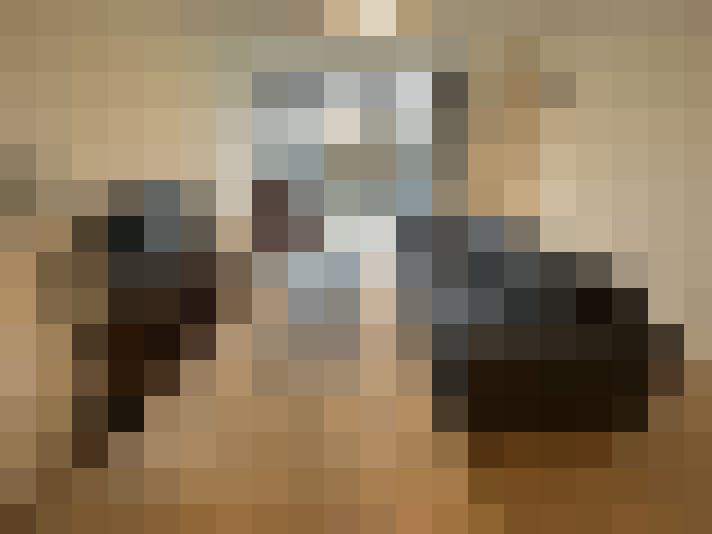  / #21