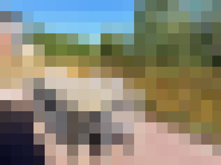  / #17