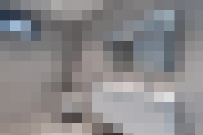  / #16