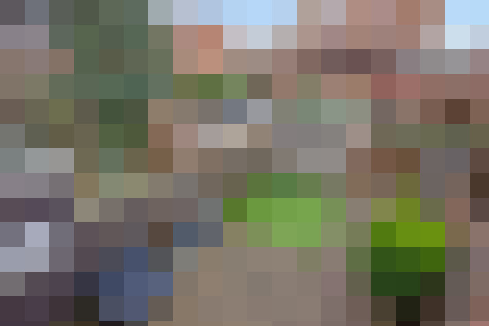  / #15