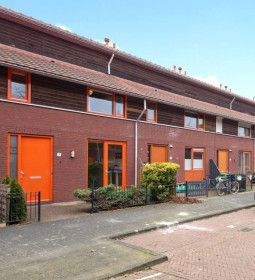 Dom — 's-Gravenhage