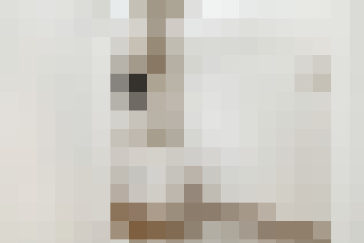  / #20