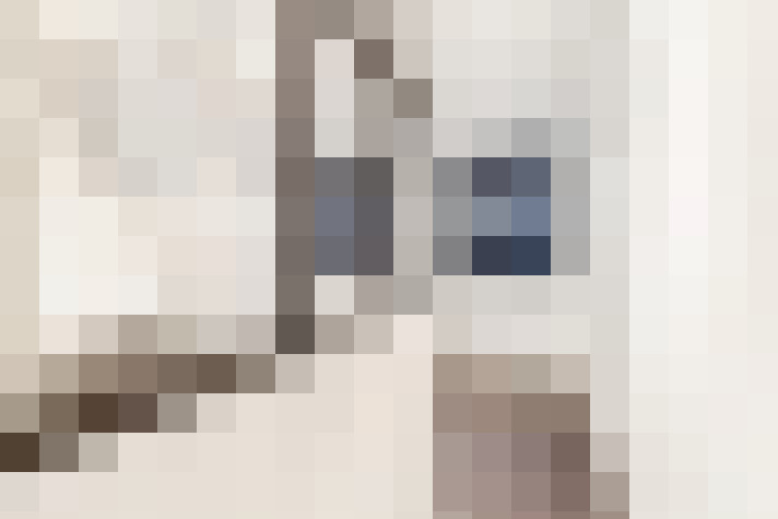  / #15