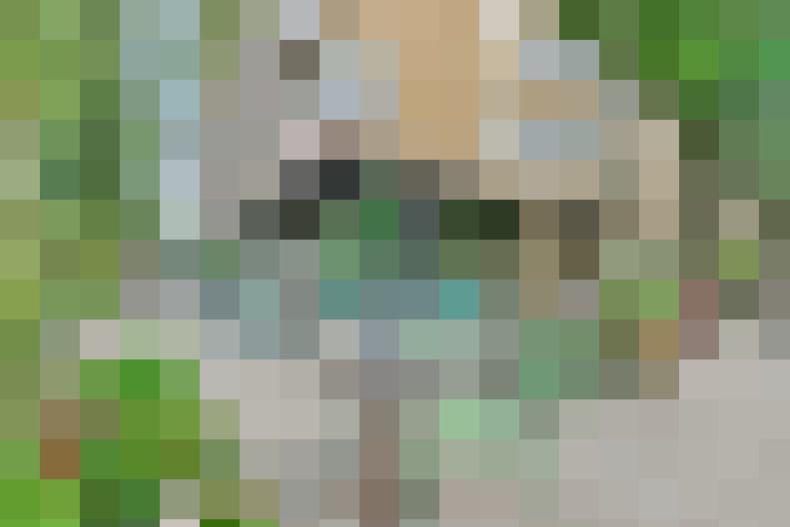  / #16