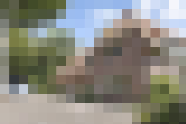  / #66