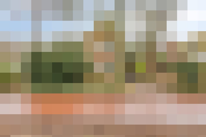  / #69
