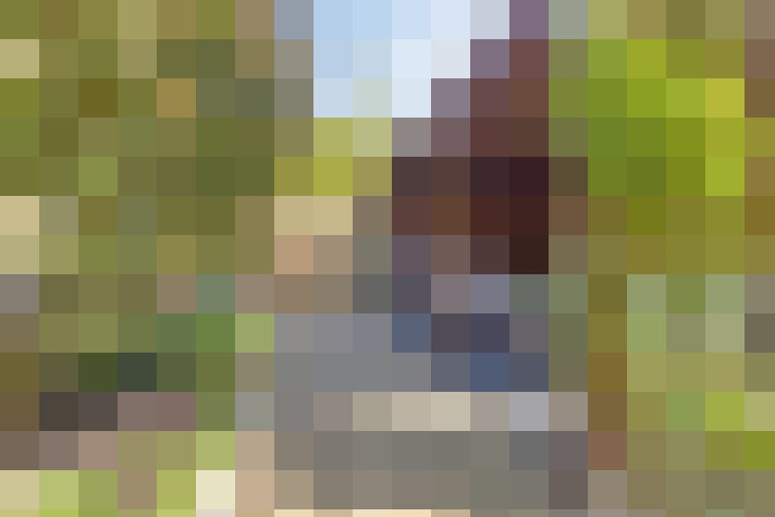  / #63