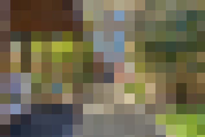  / #64