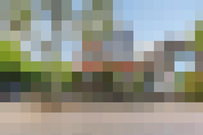  / #67