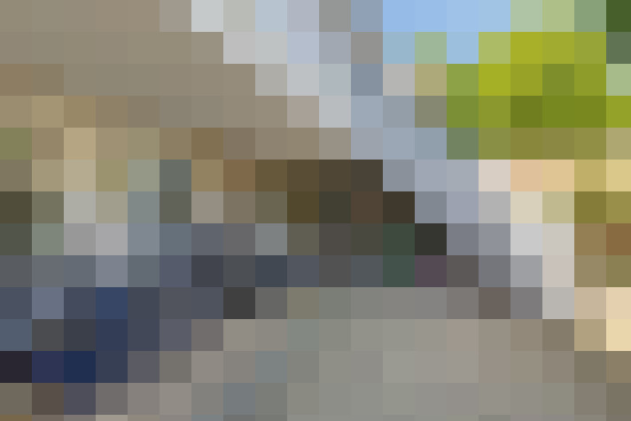  / #61