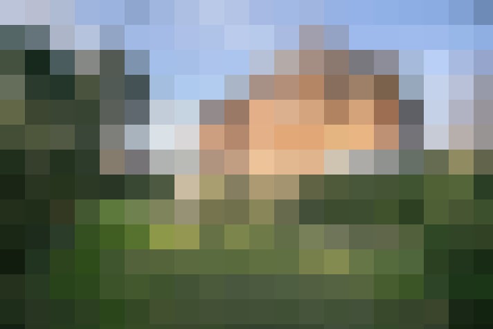  / #68