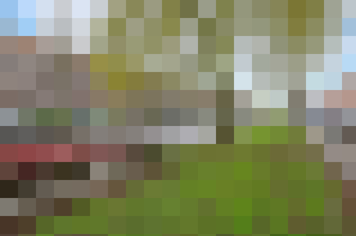  / #19