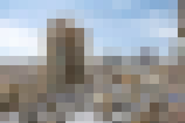  / #66