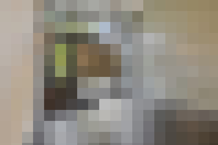  / #19