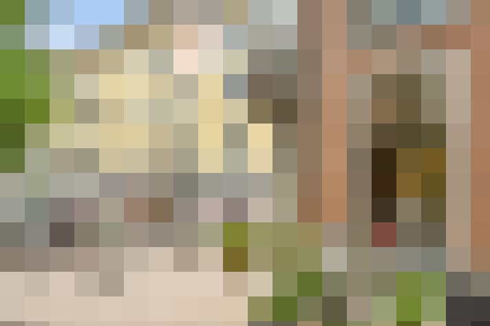 / #67