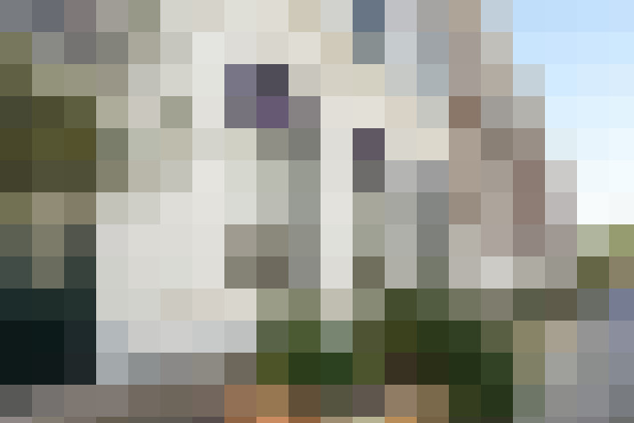  / #60