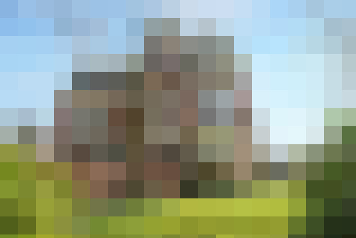  / #82