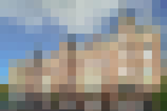 / #81