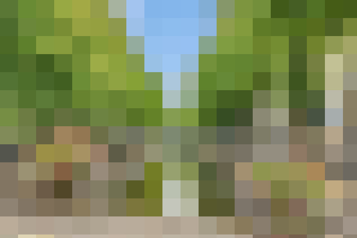  / #71