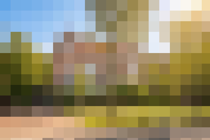  / #84
