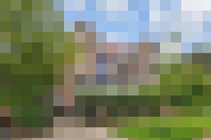  / #83