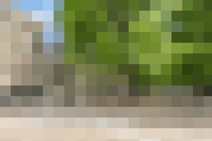  / #68