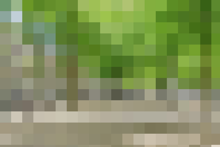  / #69