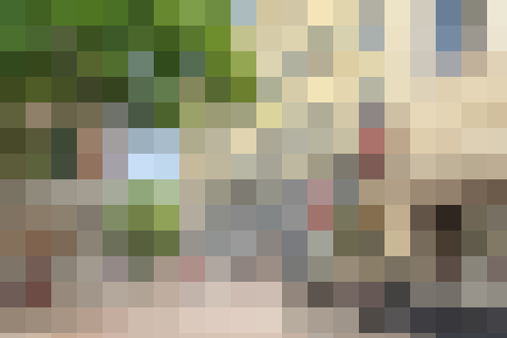  / #65