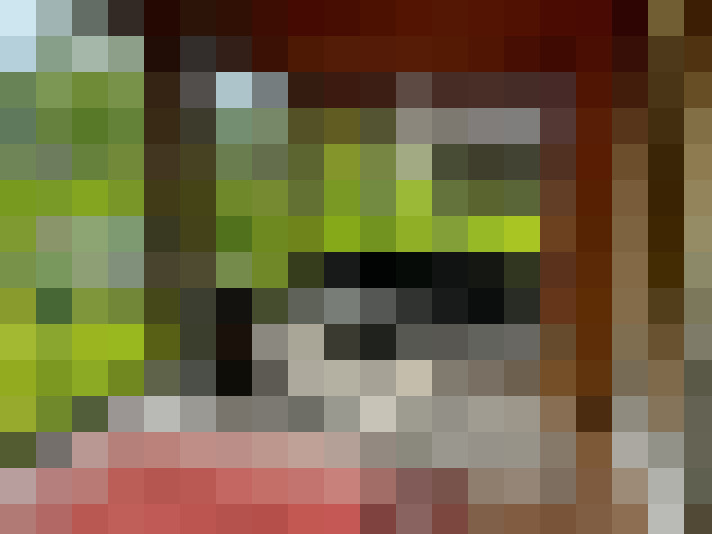  / #14