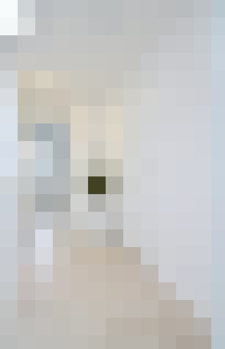  / #58