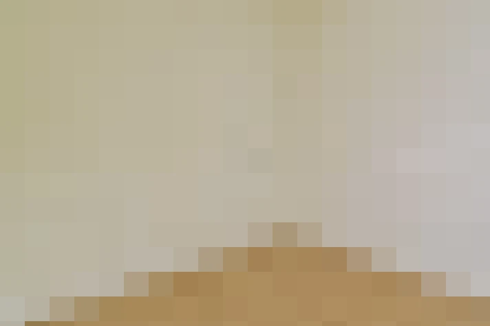  / #20