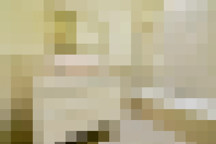  / #24