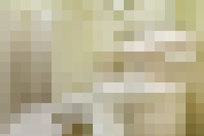  / #17