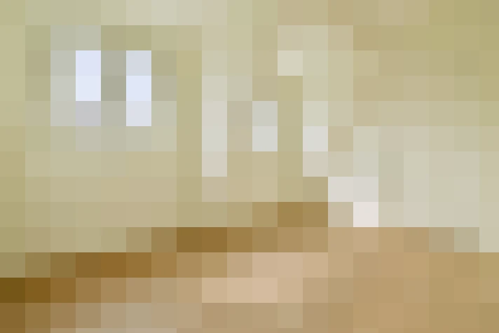  / #23