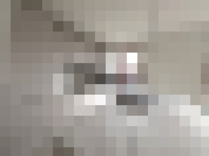  / #11