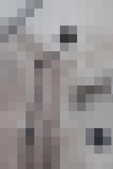  / #19