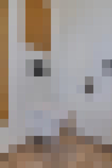  / #21