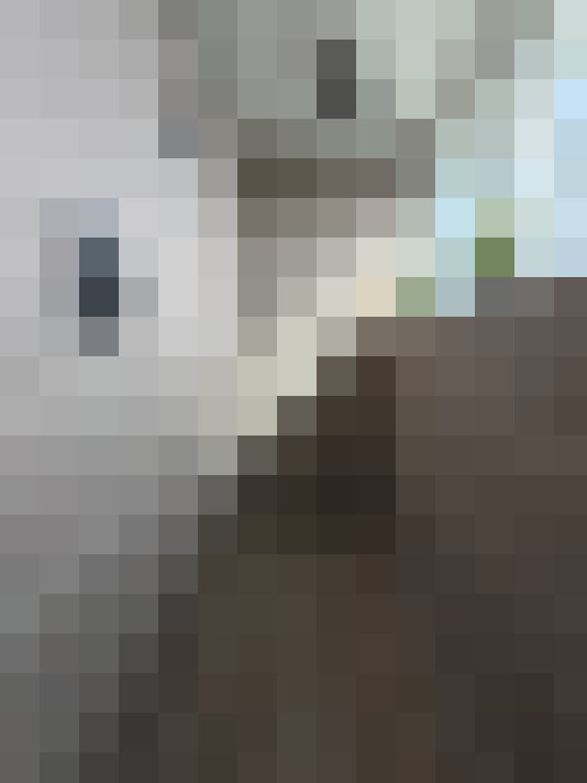  / #13