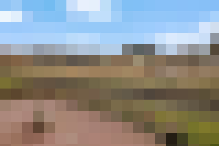  / #17