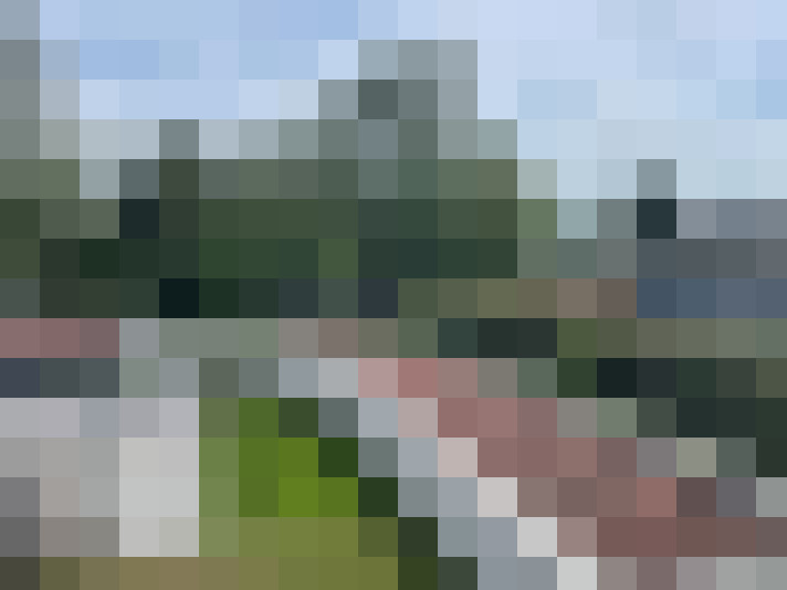  / #66