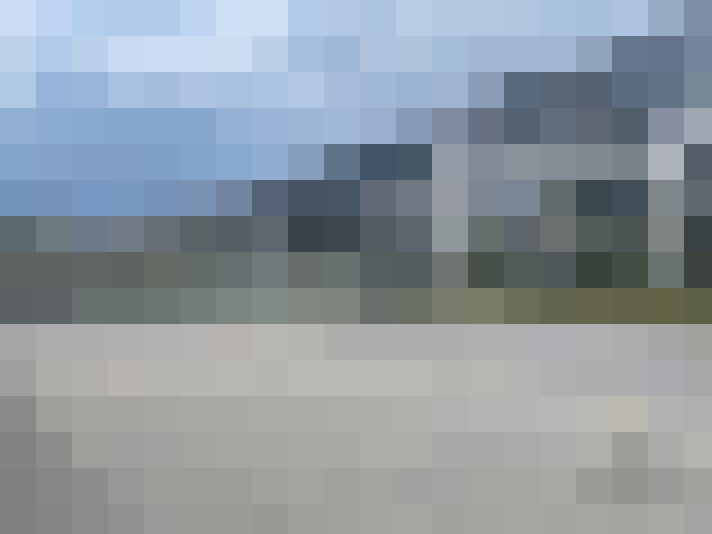  / #61