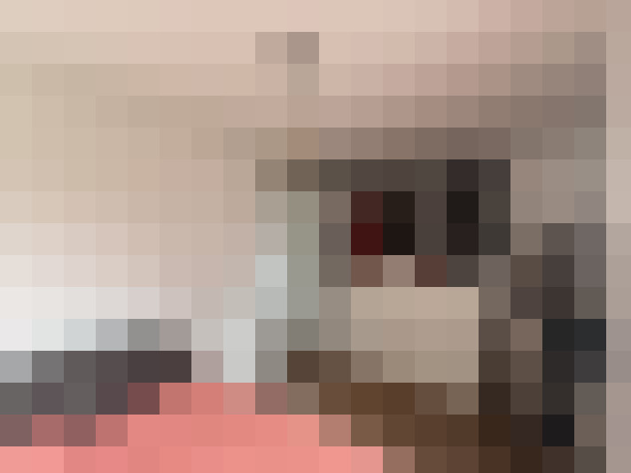  / #13