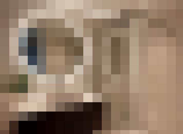  / #13