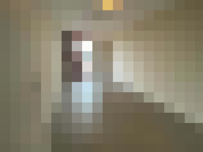 / #14