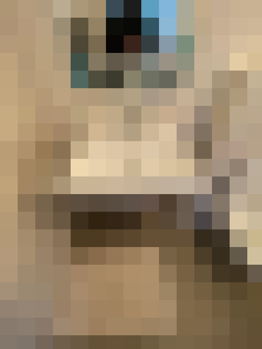  / #15