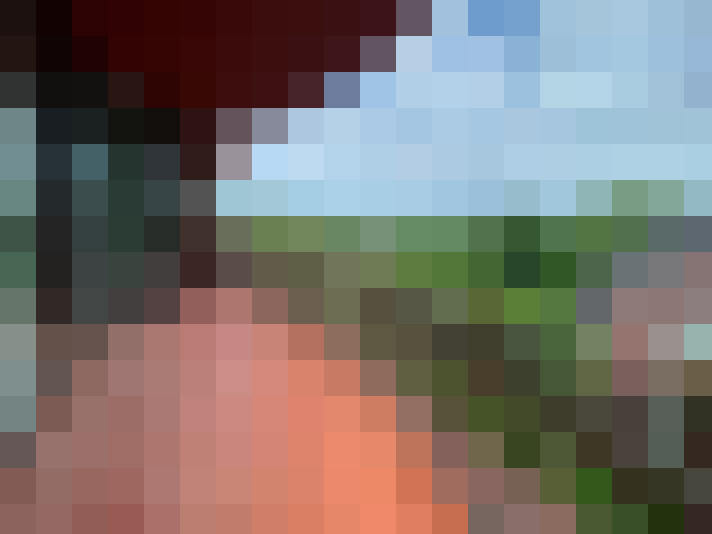  / #20